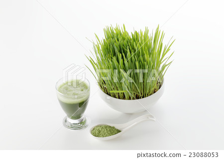 Wheatgrass juice and powder image 23088053