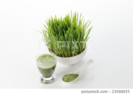 Wheatgrass juice and powder image Wheatgrass juice and powder image 23088055