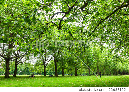 倫敦綠色公園 23088122