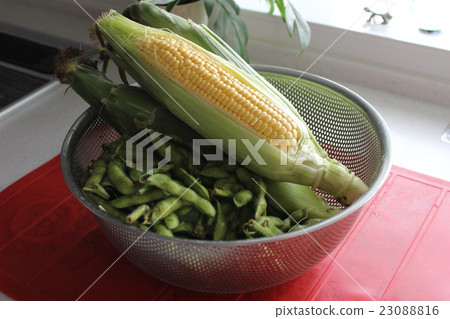 夏季蔬菜豐收 夏季蔬菜豐收 23088816