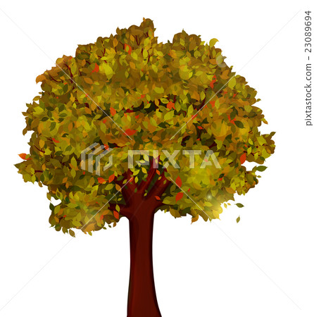 Autumn tree vector 23089694
