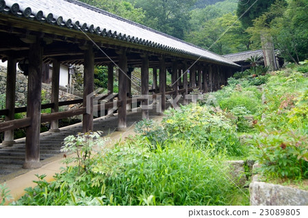 進入奈良神廟 23089805