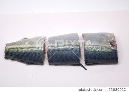 準備鯖魚 準備鯖魚 23089932