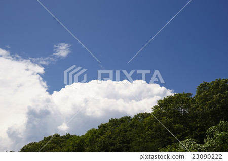 A symbol of midsummer developed from the fresh green forest to the sky Ice clouds cloud cover clouds clouds clouds clouds clouds clouds clouds clouds clouds clouds 23090222