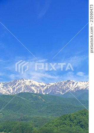 Northern Alps of Nagano Prefecture Hakuba fresh green 23090473