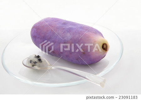 Akebi秋天的味道 Akebi秋天的味道 23091183