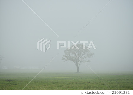 When it takes hazy time. 23091281