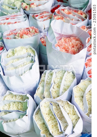 Carnation in Pak Khlong Market (Carnation of Park Clone Flower Market) 23091503