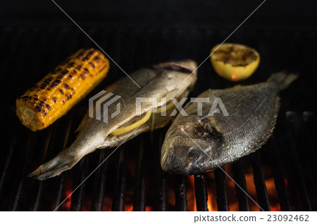 Grilled dorado fish Grilled dorado fish 23092462