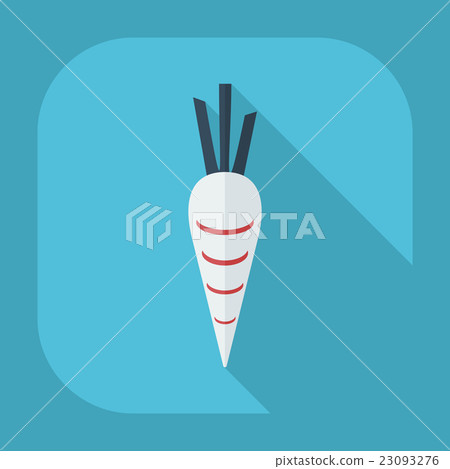 Flat modern design with shadow icons carrot Flat modern design with shadow icons carrot 23093276