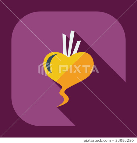 Flat modern design with shadow icons beet Flat modern design with shadow icons beet 23093280