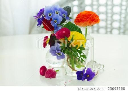 Colorful cut flowers Colorful cut flowers 23093668