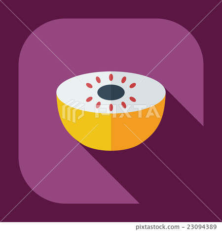Flat modern design with shadow icons melon Flat modern design with shadow icons melon 23094389