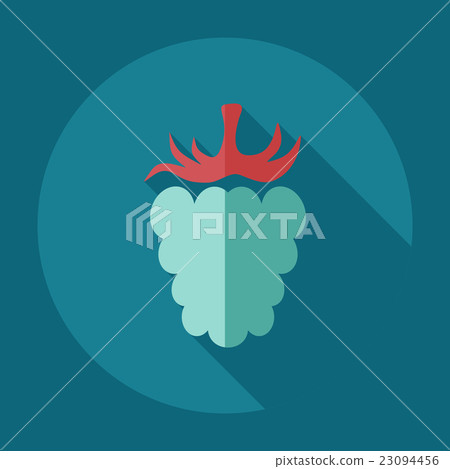 Flat modern design with shadow icons raspberries - Stock Illustration ...