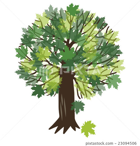 Vector illustration with a maple tree 23094506