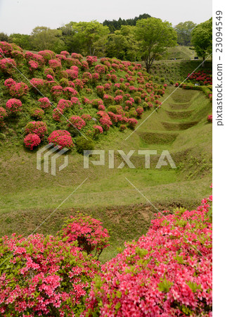 Shoji護城河 23094549