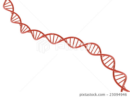 Red DNA - Stock Illustration [23094946] - PIXTA