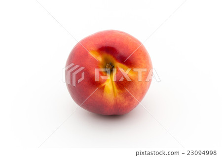 Yellow Nectarine (variety: Red Lion): Red Lion Nectarine Yellow Nectarine (variety: Red Lion): Red Lion Nectarine 23094998