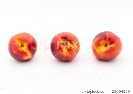 Yellow Nectarine (variety: Red Lion): Red Lion Nectarine 23094999