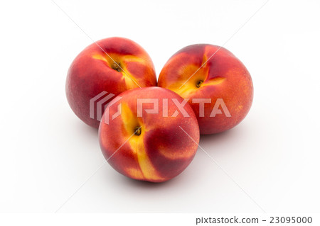 黃油桃(品種:紅獅):紅獅油桃 黃油桃(品種:紅獅):紅獅油桃 23095000