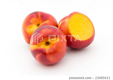 黃油桃(品種:紅獅):紅獅油桃 黃油桃(品種:紅獅):紅獅油桃 23095011