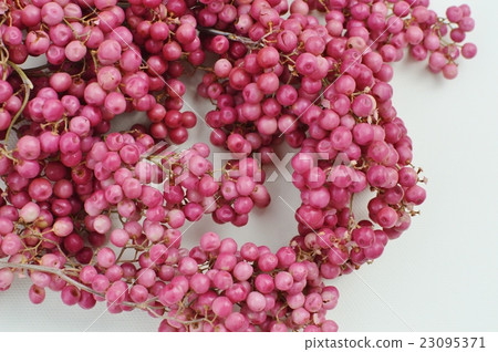 粉紅胡椒 23095371