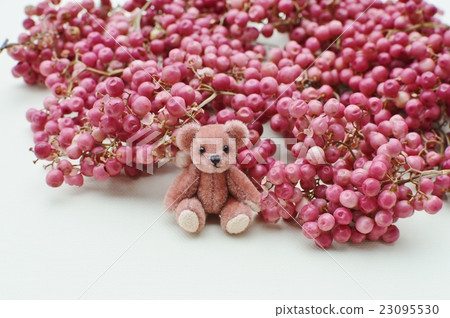 Pink pepper and teddy bear 23095530