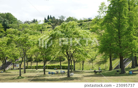 陶瓷公園公園有很多綠色植物 陶瓷公園公園有很多綠色植物 23095737