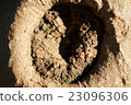 Wood grain 23096306