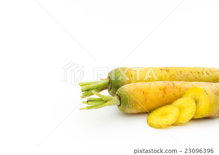 Yellow carrot: Yellow carrot Yellow carrot: Yellow carrot 23096396