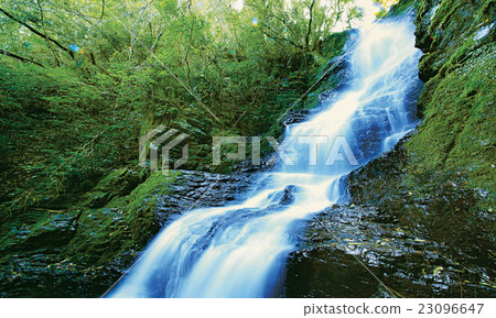 Articulatory waterfall 23096647