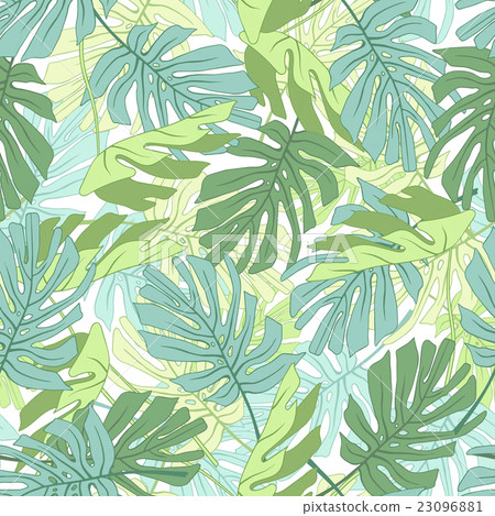 Tropical palm leaves. Tropical palm leaves. 23096881