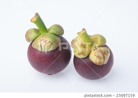 Mangosteen or juicy and fresh mangosteen. 23097159