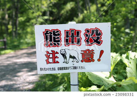 熊外觀注意 23098331