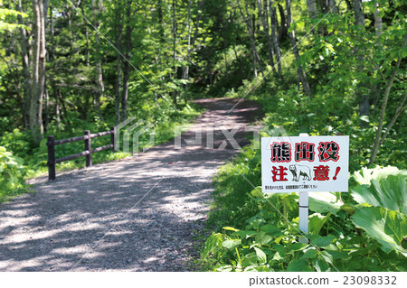 熊外觀注意 23098332