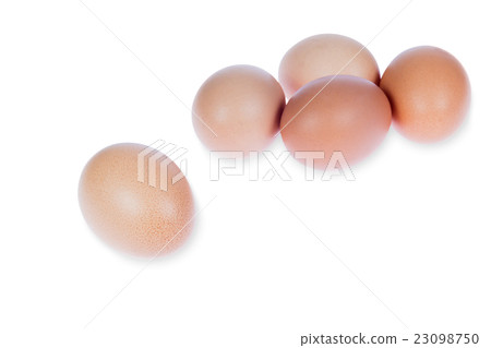 brown egg on white background with clipping path 23098750