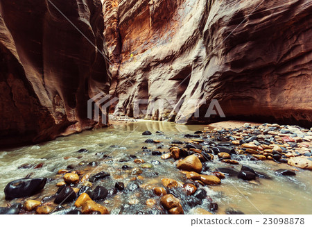 Canyon in Zion Canyon in Zion 23098878