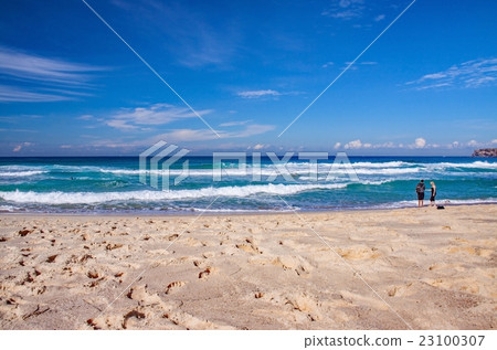 The beach in Sydney 23100307