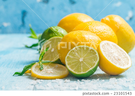 Fresh slice lemon 23101543