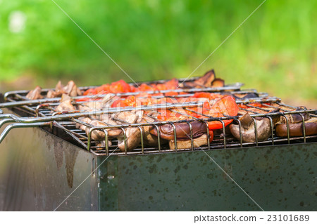 Delicious grilled vegetable Delicious grilled vegetable 23101689