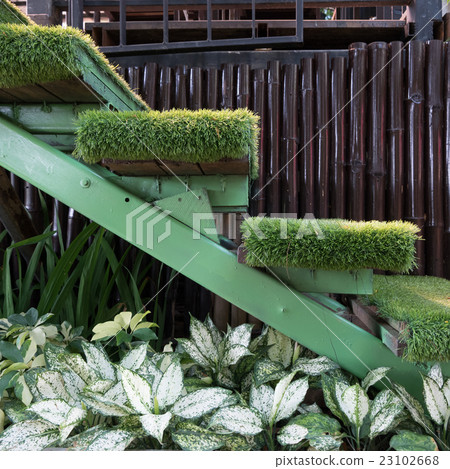 green grass staircase in garden 23102668