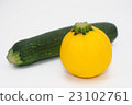 黃圓西葫蘆和綠色西葫蘆 23102761