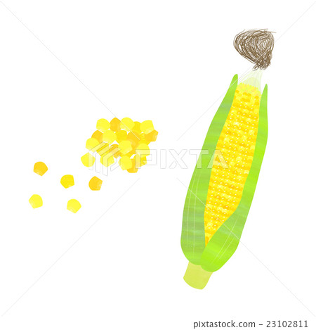 玉米 23102811