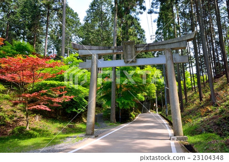 京都Saruimaru神社 23104348