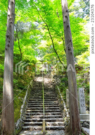 京都Saruimaru神社 京都Saruimaru神社 23104376