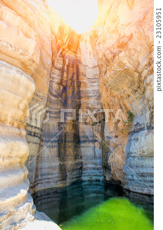 Oasis  source  water in the desert of negev 23105951