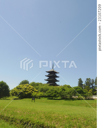Brewery of fresh green Kokubunji 5-storied pagoda 23107209