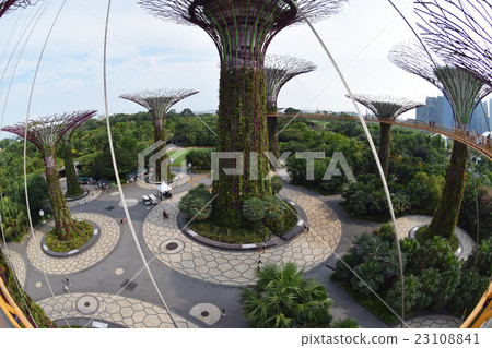 Gardens by the Bay, Singapore 23108841