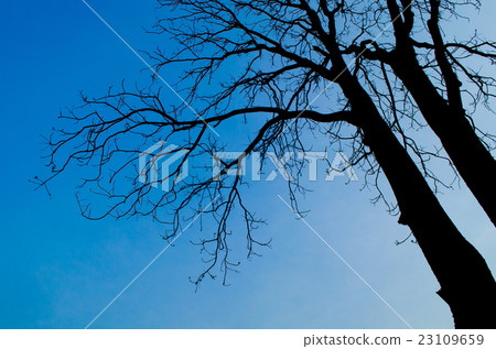 blue sky in happy day 23109659