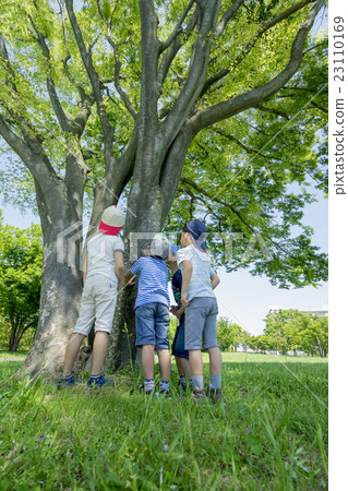 Back view of elementary school students looking for insects in the fresh green park 23110169